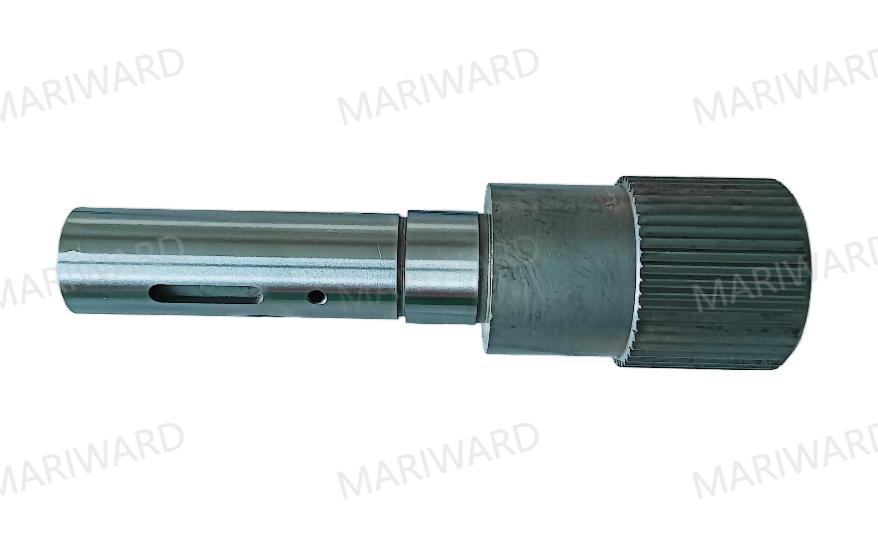 UGA Z=48 - 水印.jpg