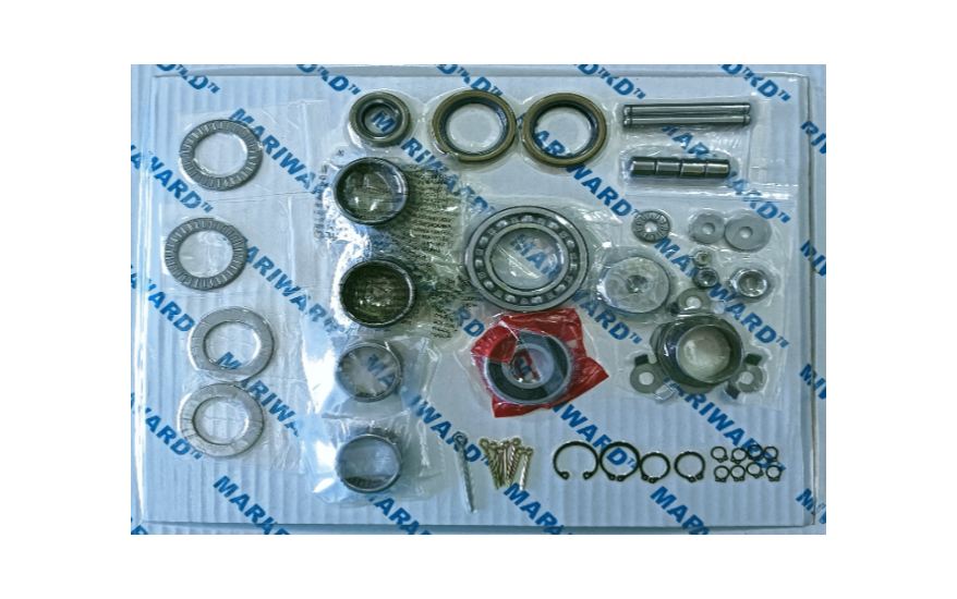 调速器PGA200 修理包