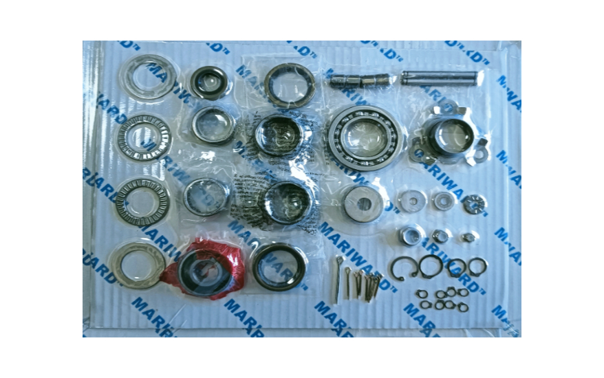 PGA200 EG overhaul kits